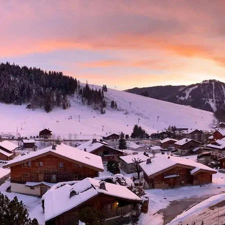 Apartment T3 Cosy Avec Balcon, Proche Pistes De Ski, Parking, Cheminee Et Wifi - - Fr-1-459-201
